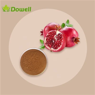 هل تحتوي المستخلصات النباتية على مضادات الأكسدة؟